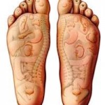 Reflexology map of foot