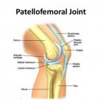 Anatomy of Patellofemoral Joint